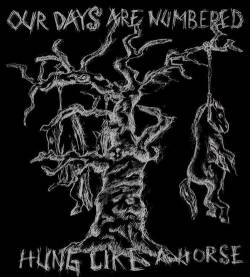 Our Days Are Numbered : Hung Like a Horse